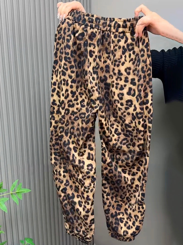 High-Waisted Leopard Print Harem Pants